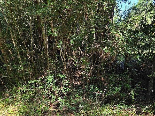 0 Berwick St Vidor, TX 77662 - Thumbnail 5