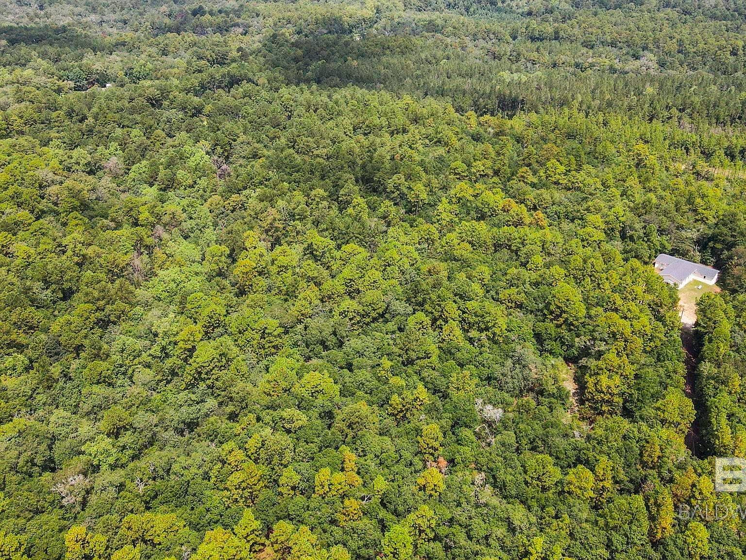 0 Mount Pilgrim Rd #6-8-4 Eight Mile, AL 36613 - Thumbnail 5