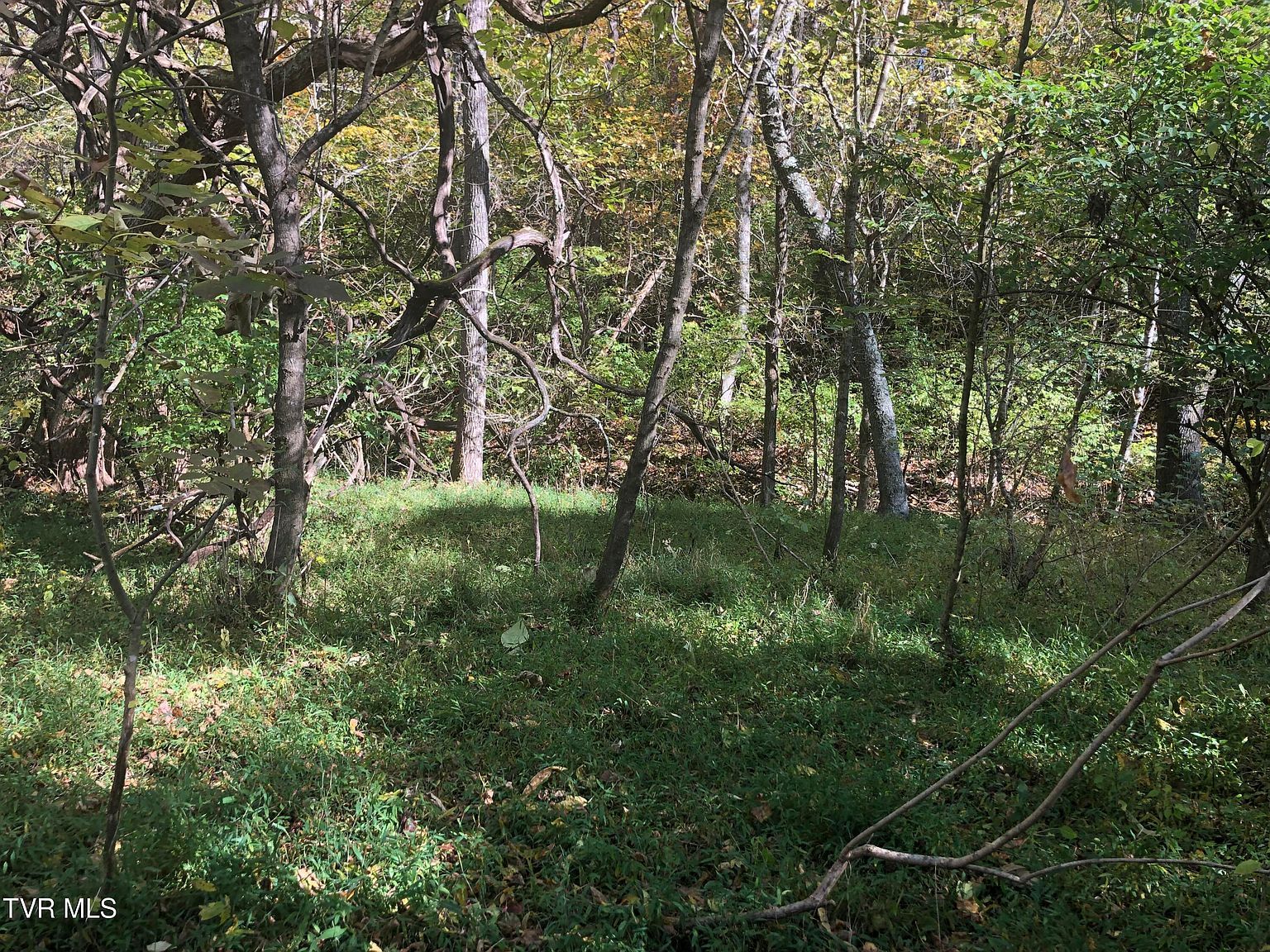 0 Rich Valley Rd LOT 63 Bristol, VA 24201 - Thumbnail 5