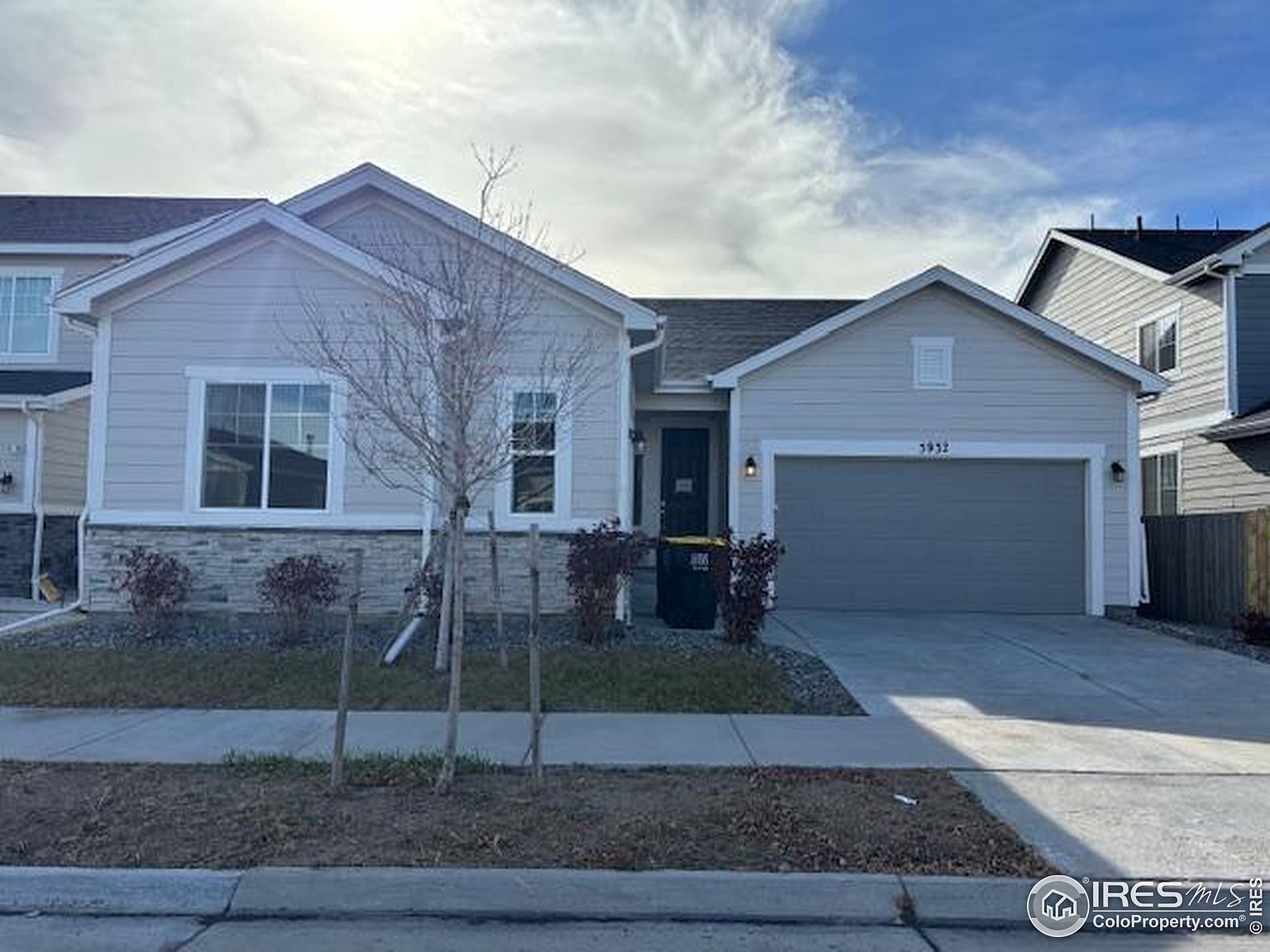 5932 Wheatberry Dr Brighton, CO 80601 - Thumbnail 5