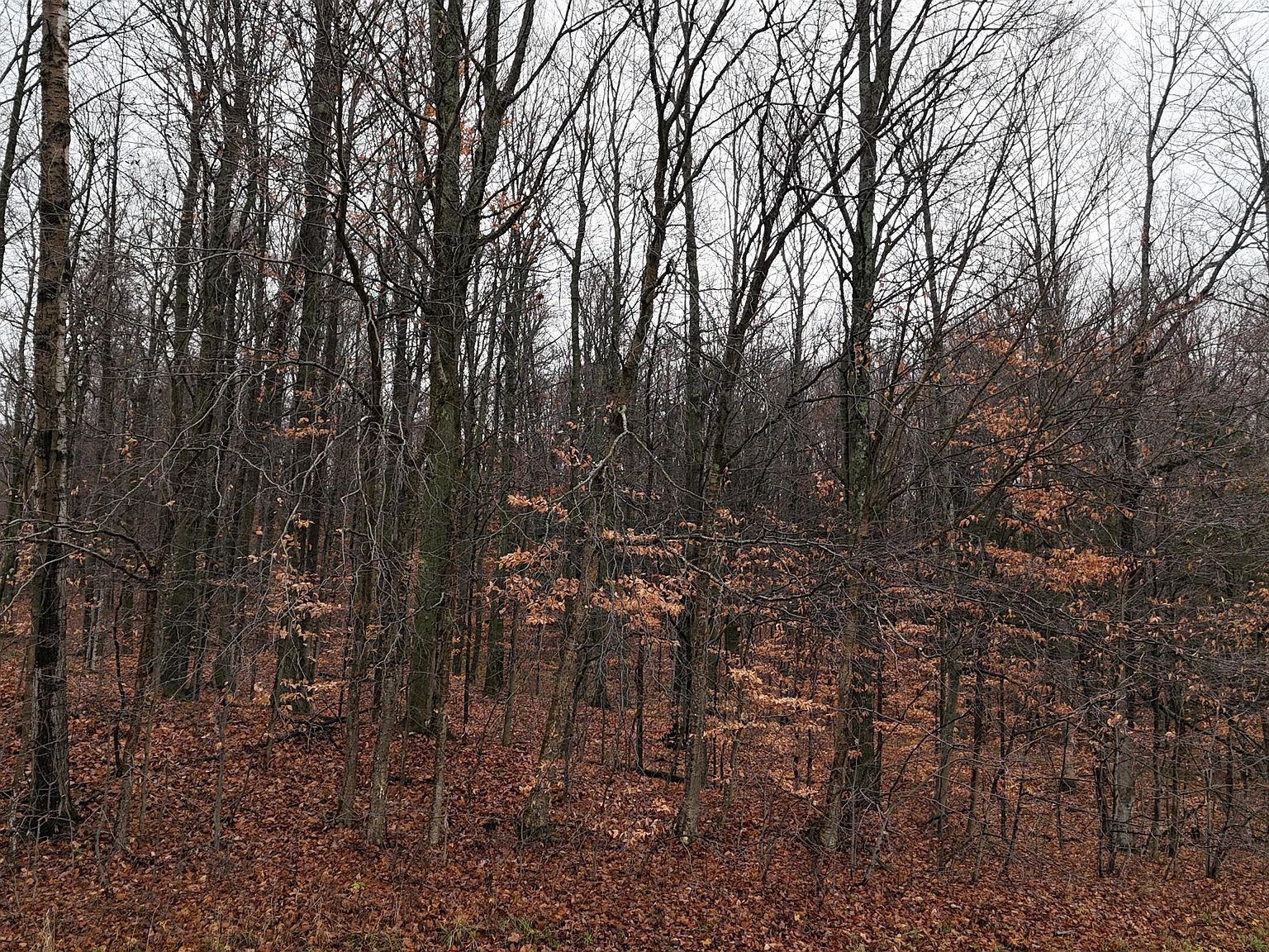 McClish Aka Bigge Copemish, MI 49625 - Thumbnail 5