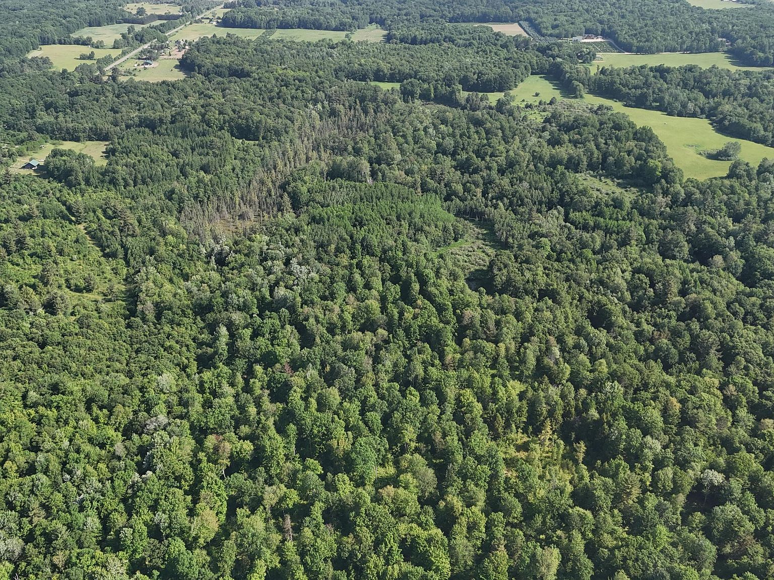 16311 Dickson Rd Brethren, MI 49619 - Thumbnail 5