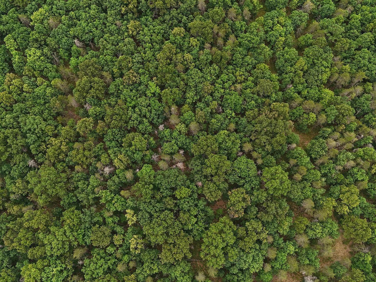 N Custer Rd Manistee, MI 49660 - Thumbnail 5