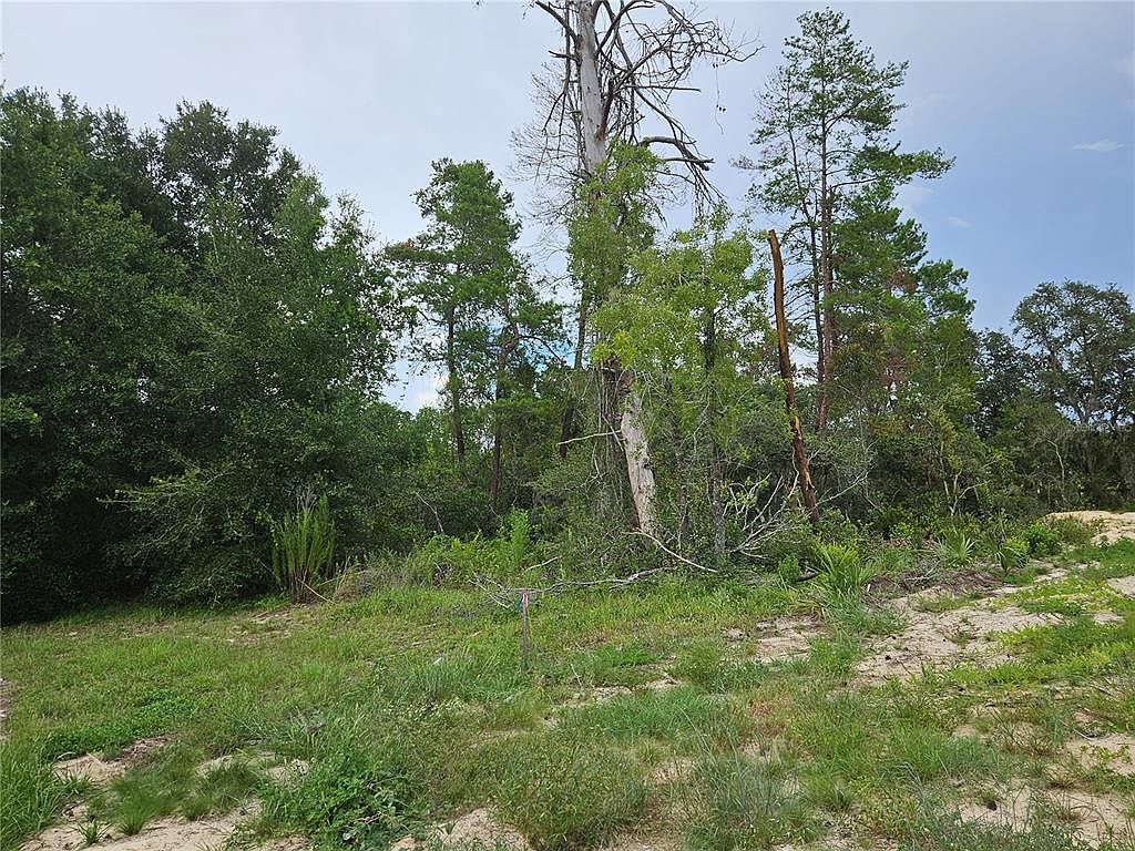 0 SW 46th Cir Ocala, FL 34473 - Thumbnail 5