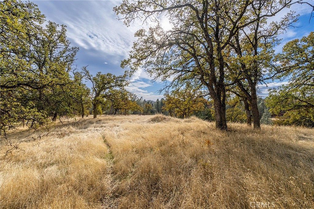 17333 Wagon Wheel Rd Corning, CA 96021 - Thumbnail 5