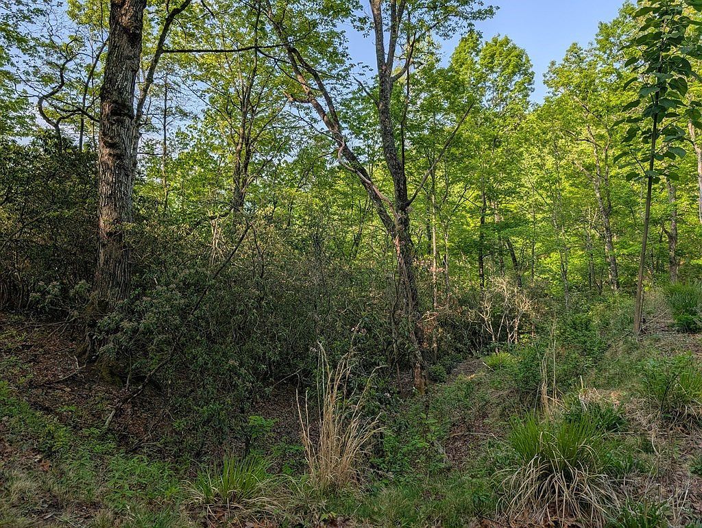 0 Cherokee Mine Rd Franklin, NC 28734 - Thumbnail 5