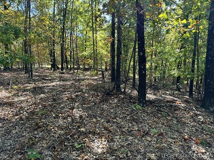 6620 N Starr Ridge Rd Proctor, OK 74457 - Thumbnail 5