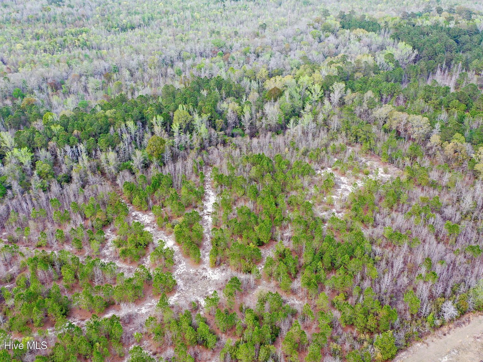 Andrew Lakes Dr Tabor City, NC 28463 - Thumbnail 5