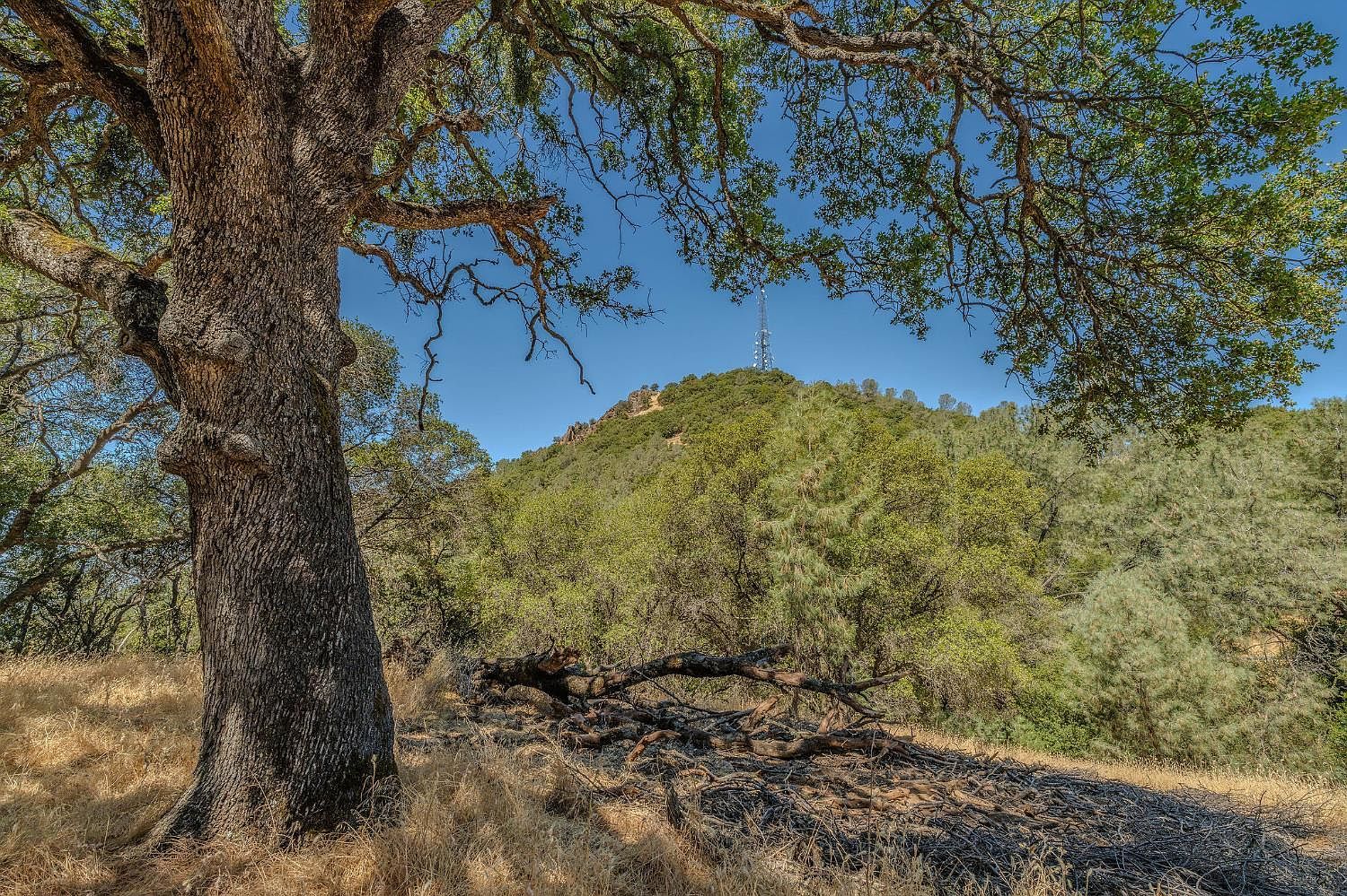 Lauren Ln Jackson, CA 95642 - Thumbnail 5