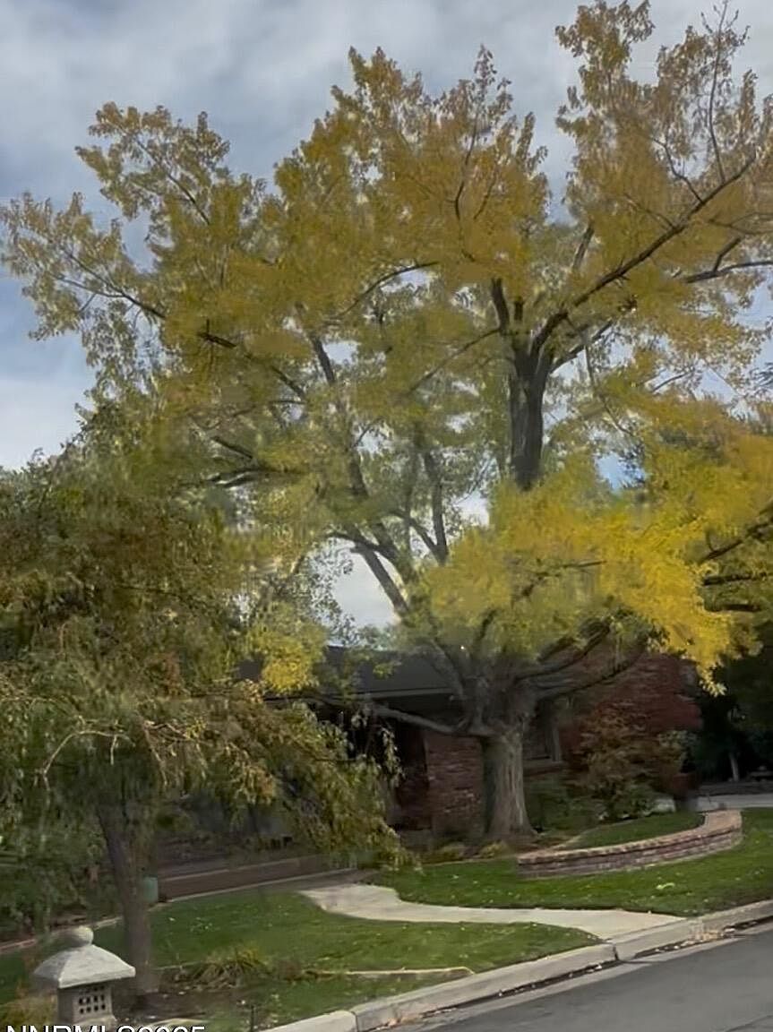 611 Nixon Ave Reno, NV 89509 - Thumbnail 5