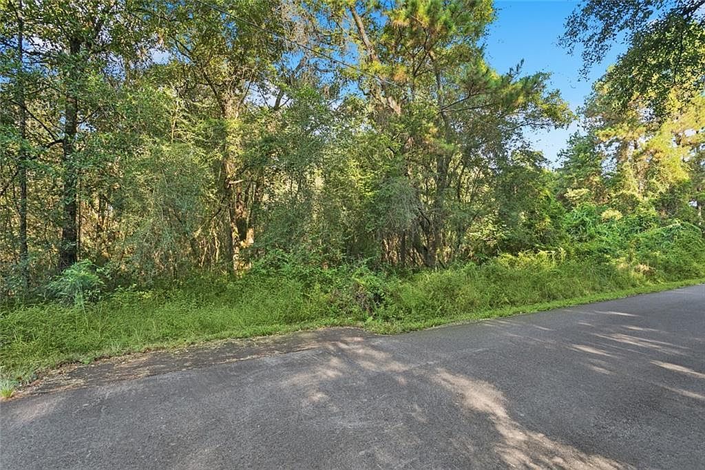 Eugene Wallace Rd Covington, LA 70435 - Thumbnail 5