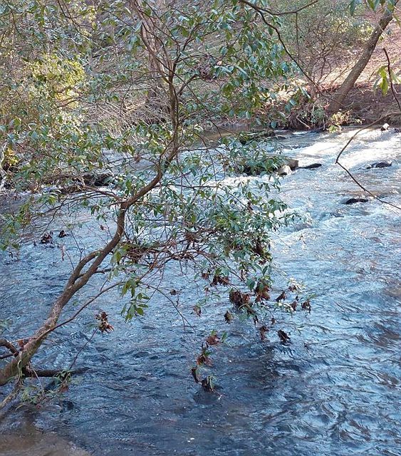 193 Opossum Rd Blairsville, GA 30512 - Thumbnail 5