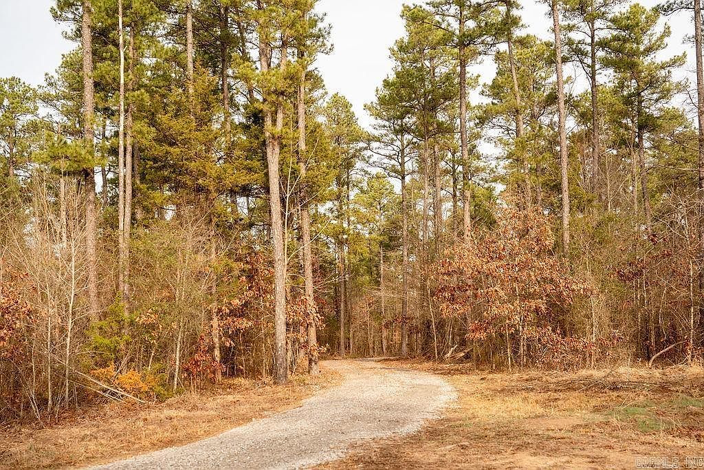 260 Sawmill Rd S Quitman, AR 72131 - Thumbnail 5