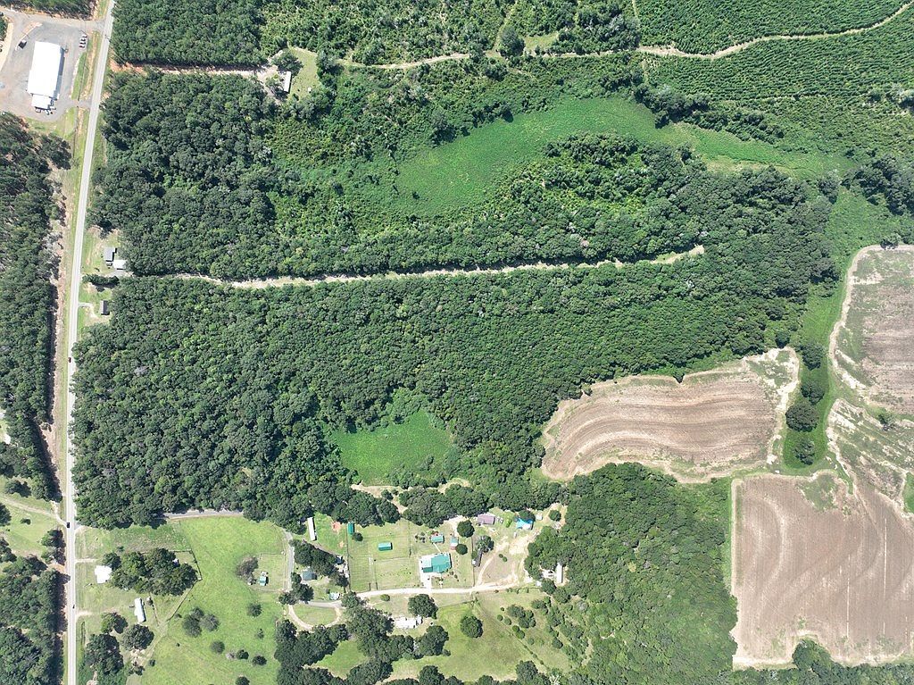 Us Highway 84 Red Level, AL 36474 - Thumbnail 5