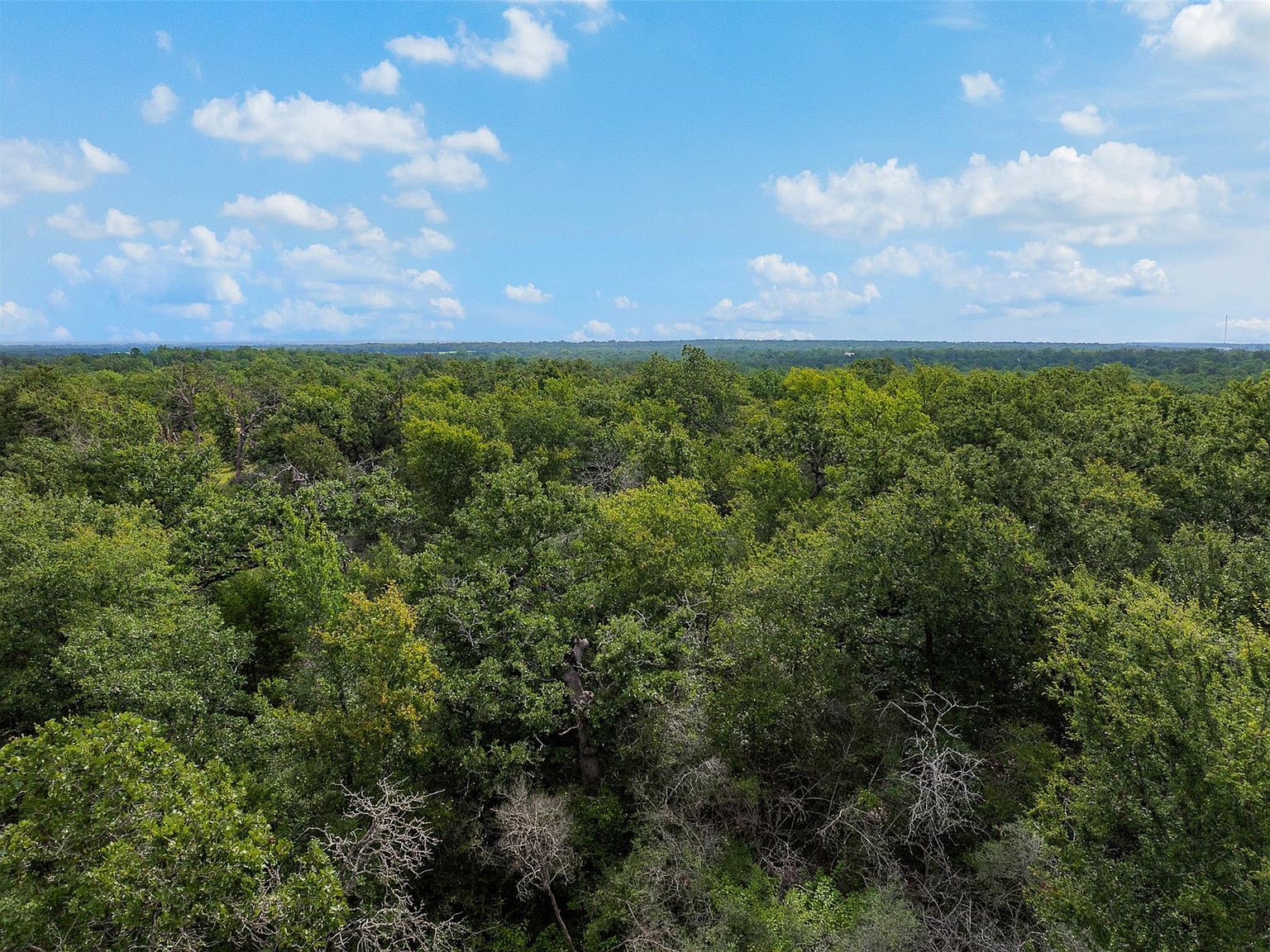 531 Moss Oak Dr Somerville, TX 77879 - Thumbnail 5