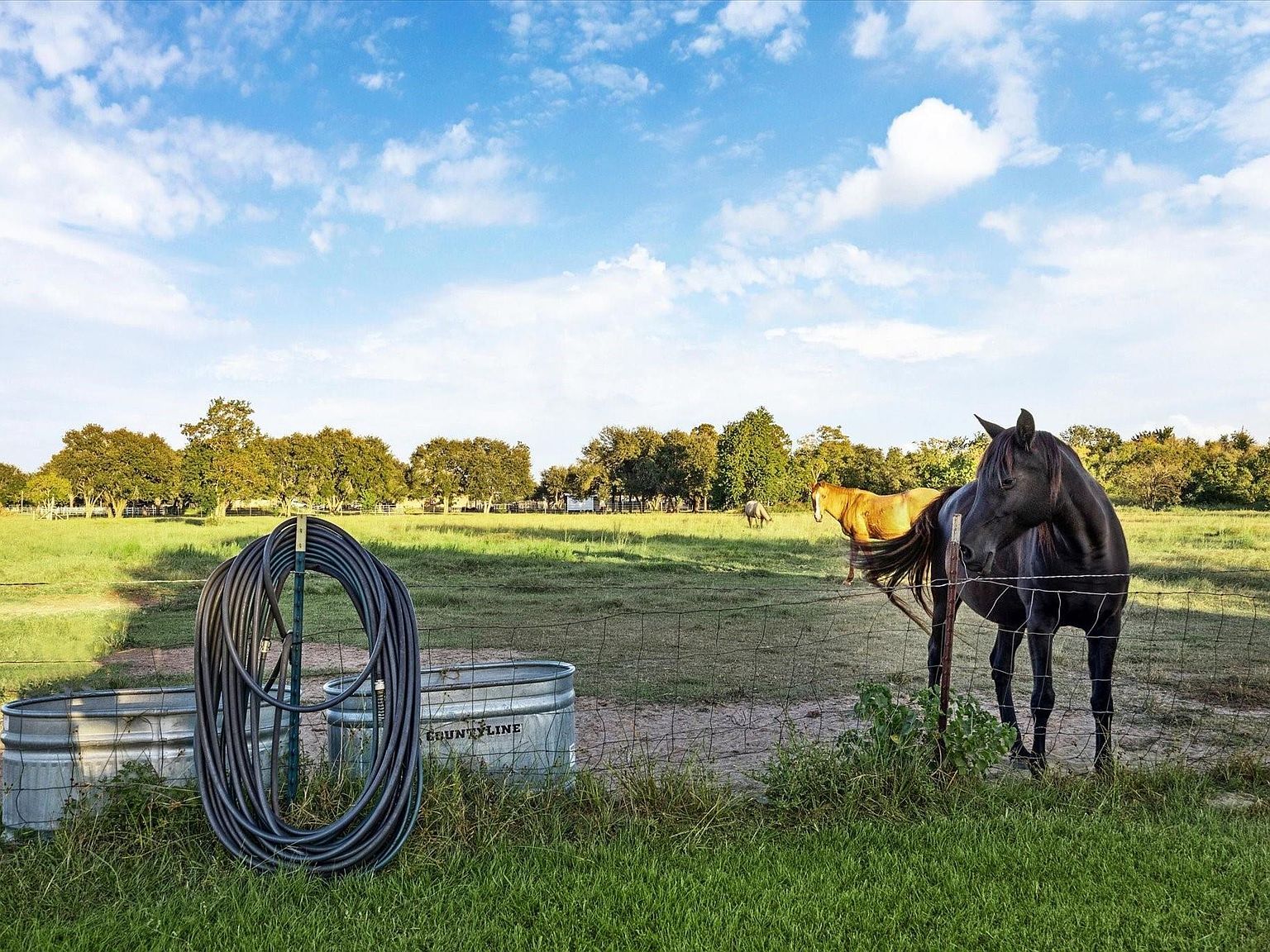 8850 Katy Hockley Rd Katy, TX 77493 - Thumbnail 5