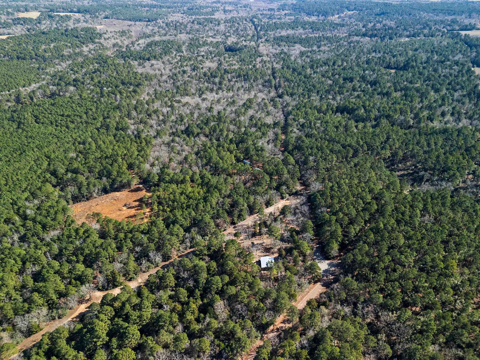 9138 N County Road 2138 Tatum, TX 75691 - Thumbnail 5