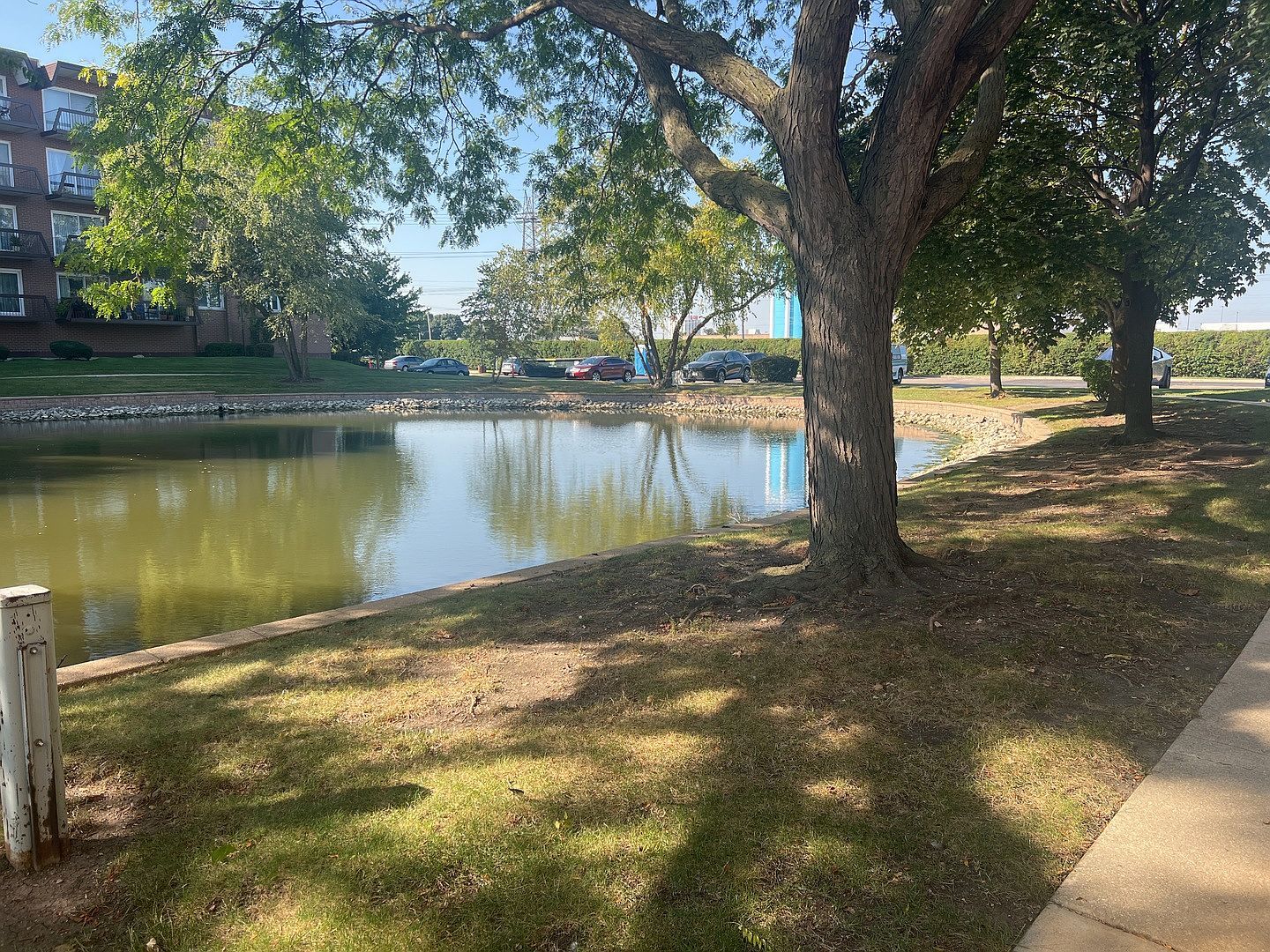 8101 W Courte Dr #D-203 Niles, IL 60714 - Thumbnail 5