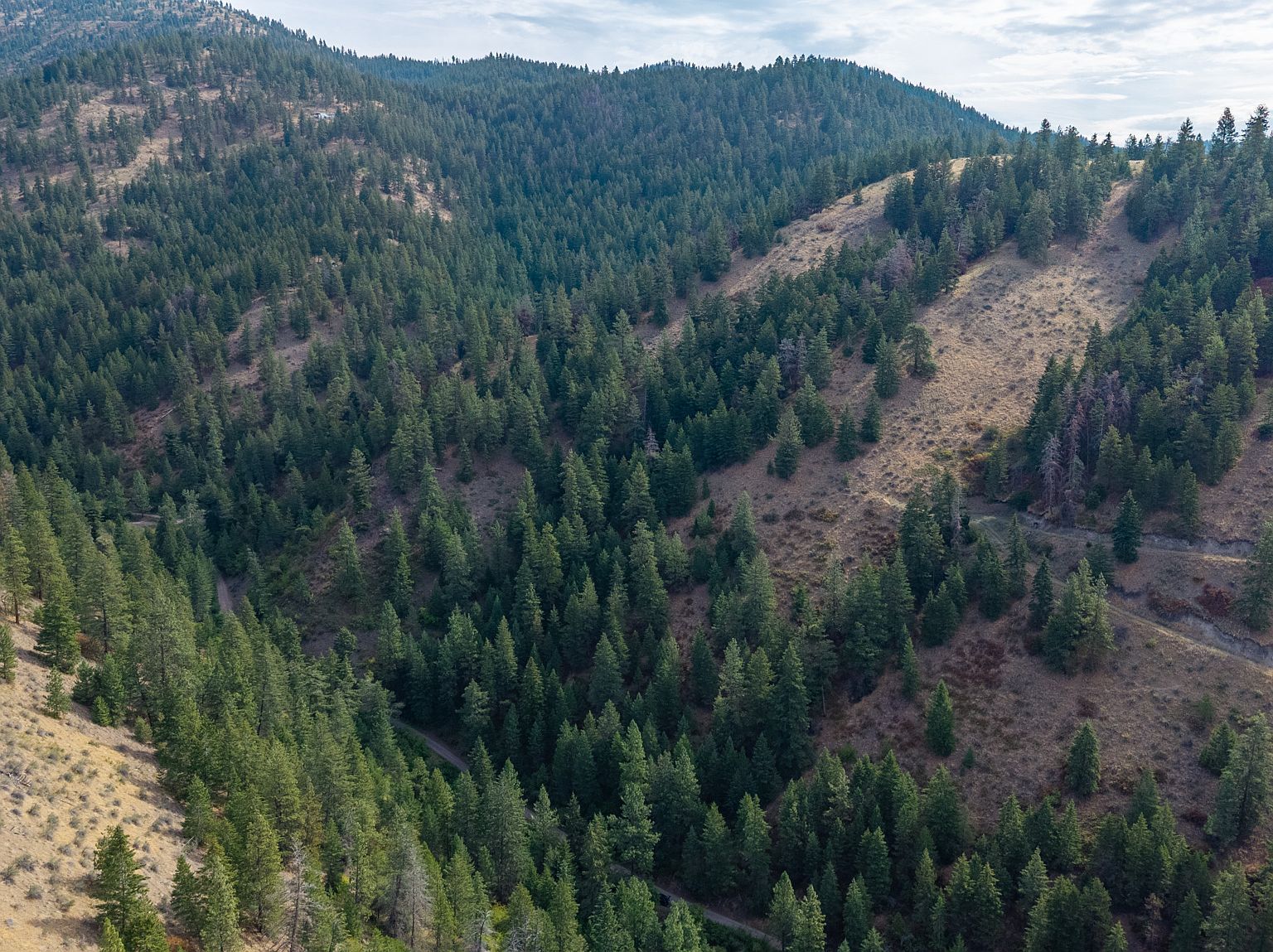 Nhn Copper Ridge Trl Florence, MT 59833 - Thumbnail 5