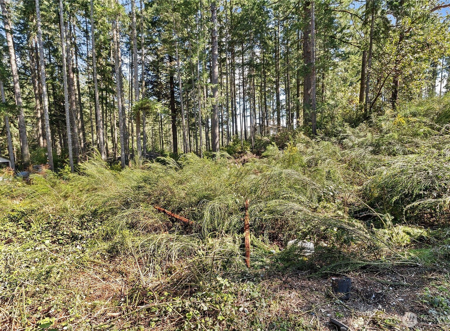 19025 23rd St SW Lakebay, WA 98349 - Thumbnail 5