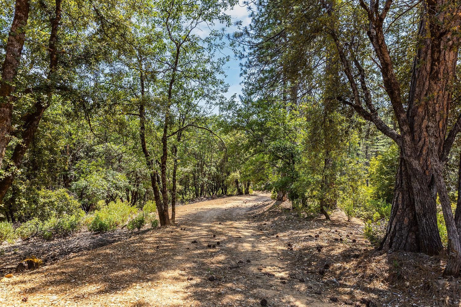 18510 You Bet Rd Grass Valley, CA 95945 - Thumbnail 5