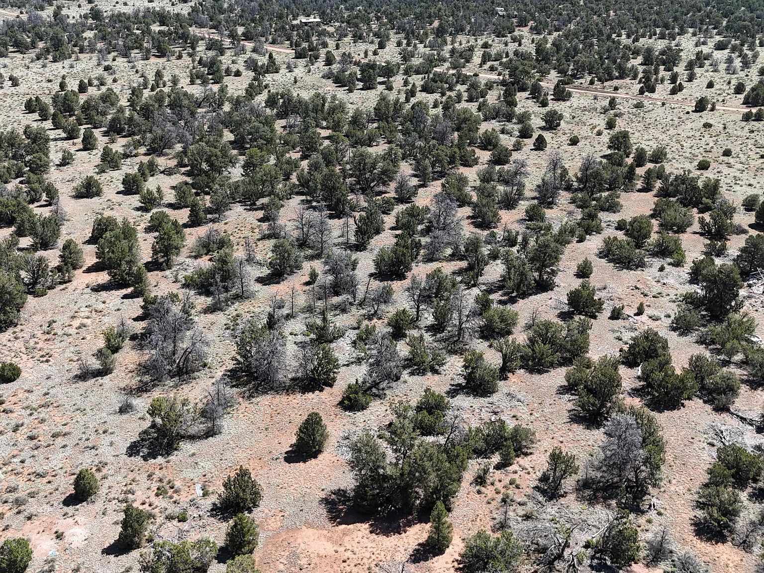 4813 E Woodland Ranch Rd Williams, AZ 86046 - Thumbnail 5