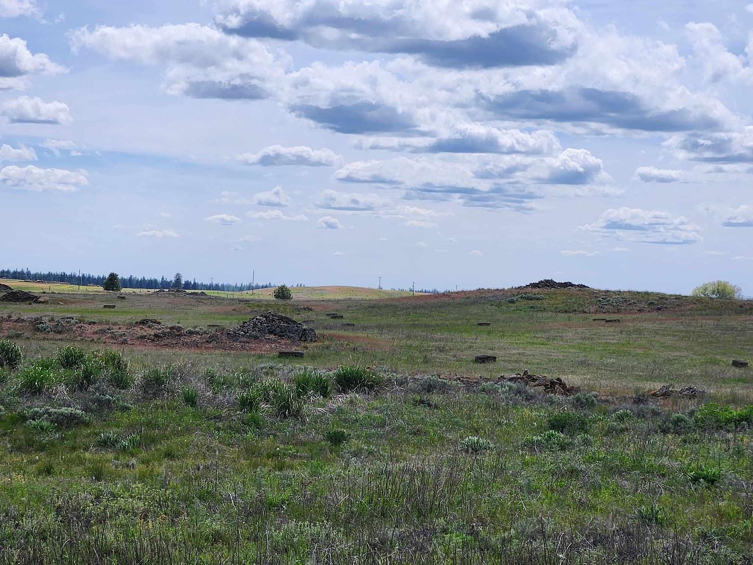 26210 W Hallett Rd Medical Lake, WA 99022 - Thumbnail 5