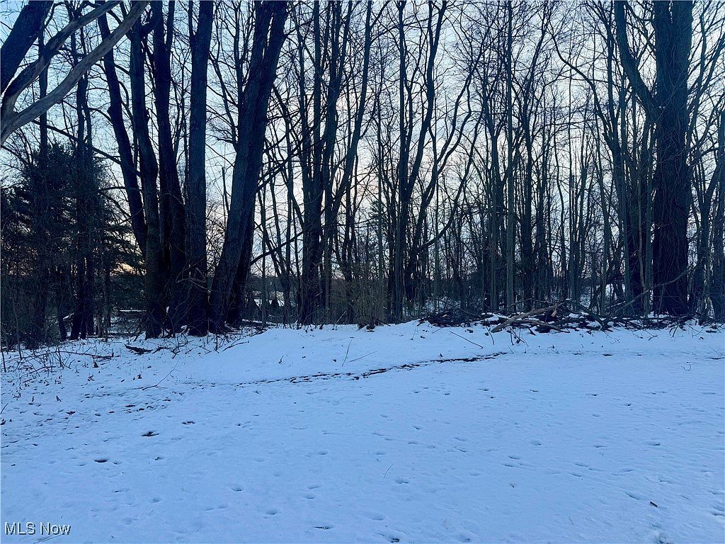 Newton St Tallmadge, OH 44278 - Thumbnail 5