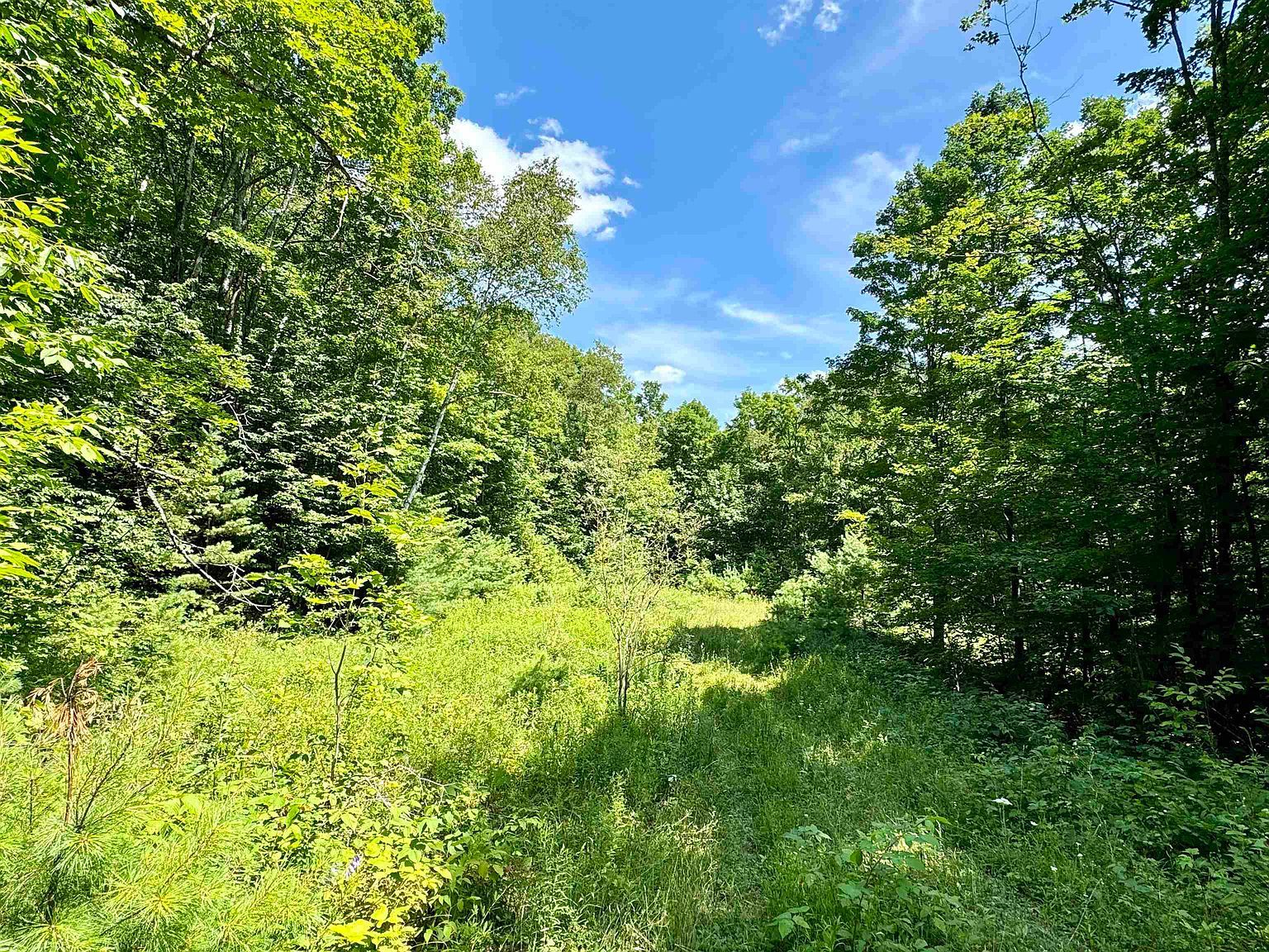 0 Crosby Rd Topsham, VT 05076 - Thumbnail 5