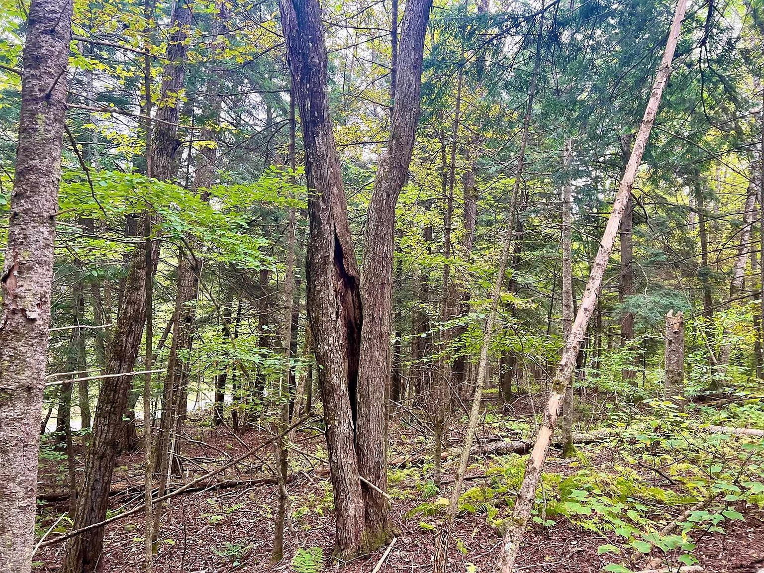 0 Kidder Rd Bradford, VT 05033 - Thumbnail 5