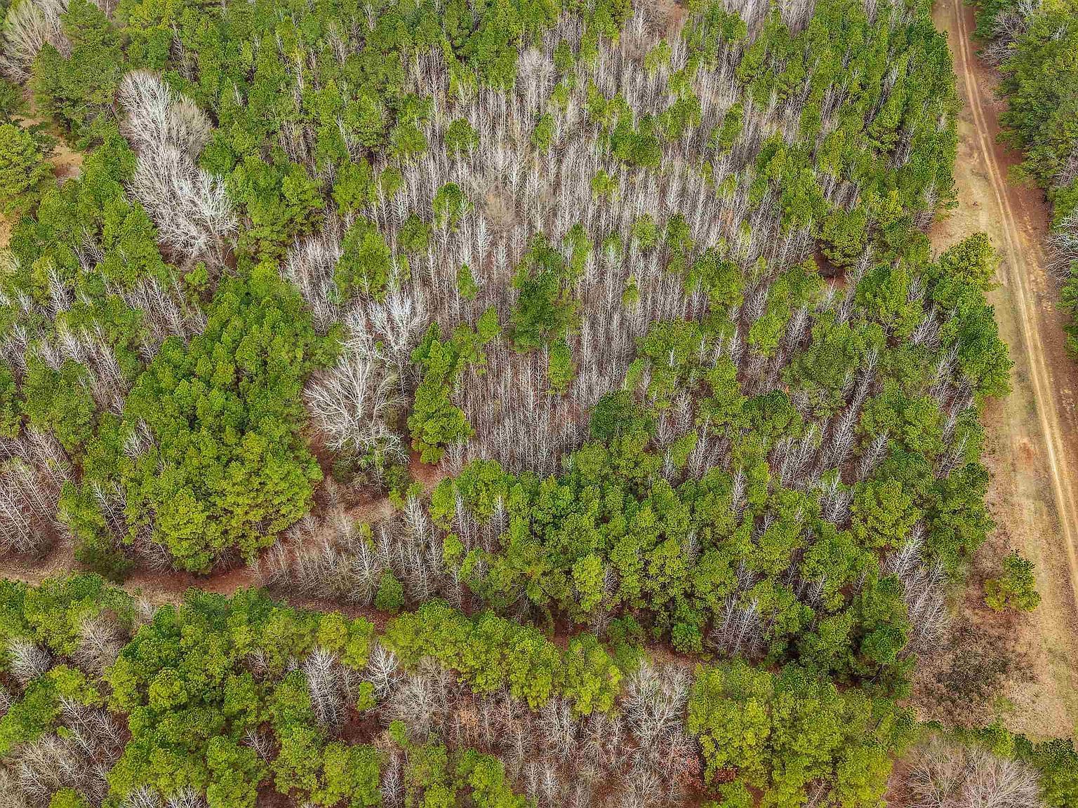 LOT 48 Highway 79 S Pine Bluff, AR 71603 - Thumbnail 5