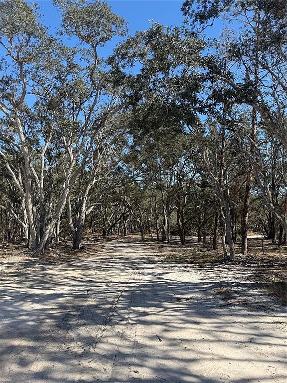 12015 Gladwin Ave Hudson, FL 34667 - Thumbnail 5