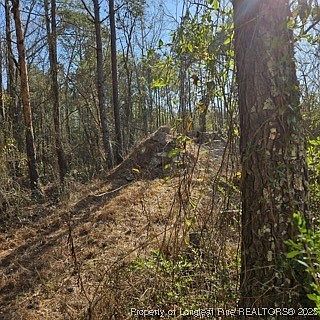 737 N Vass Rd Raeford, NC 28376 - Thumbnail 5