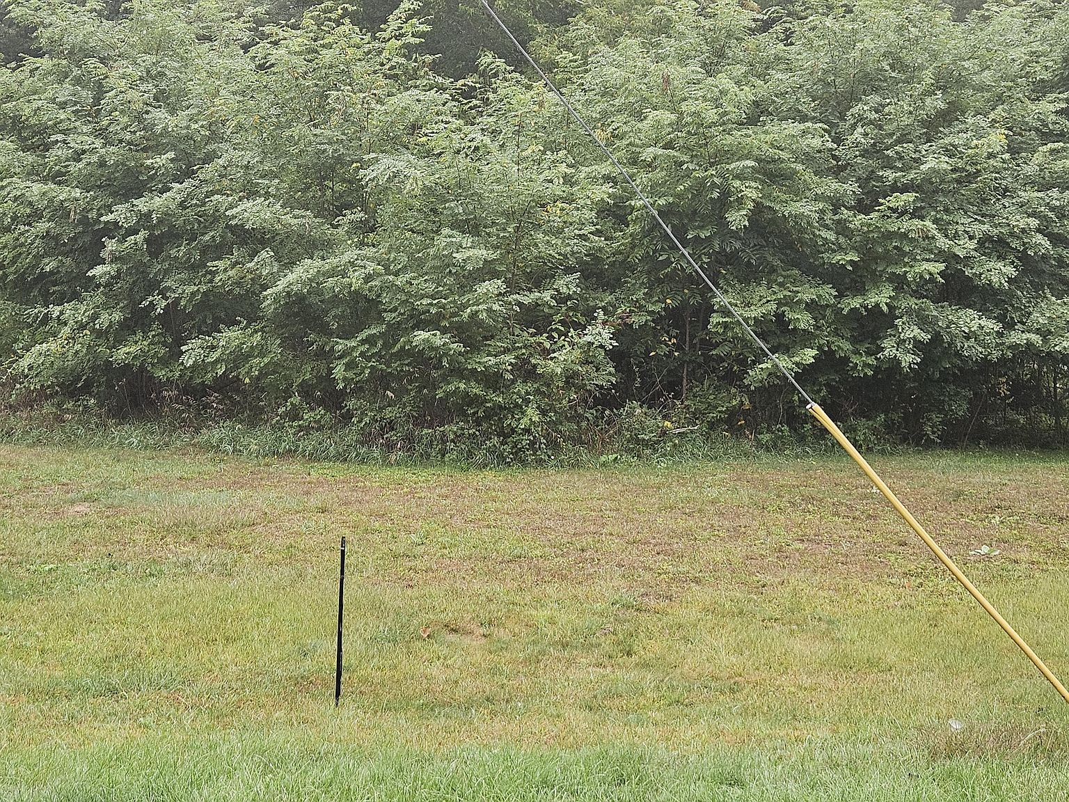 Weeks St Allegan, MI 49010 - Thumbnail 5