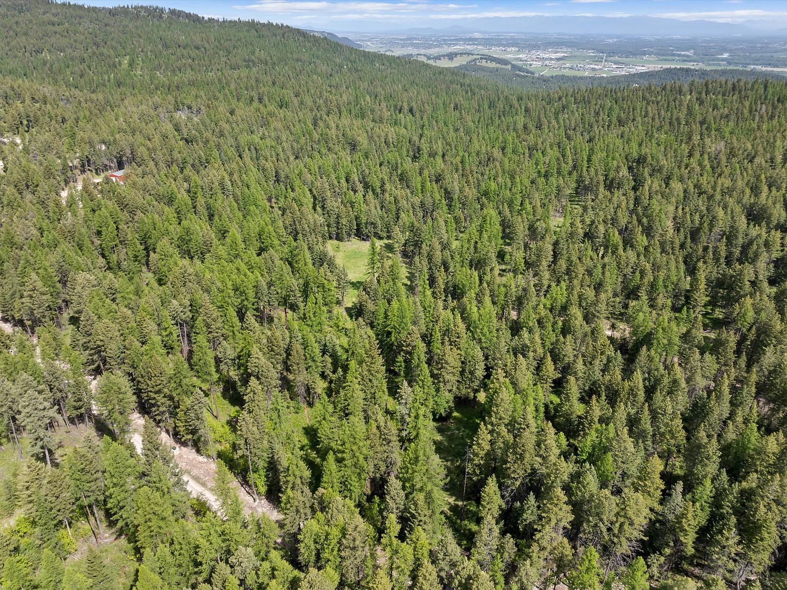 439 Buffalo Trl Somers, MT 59932 - Thumbnail 5