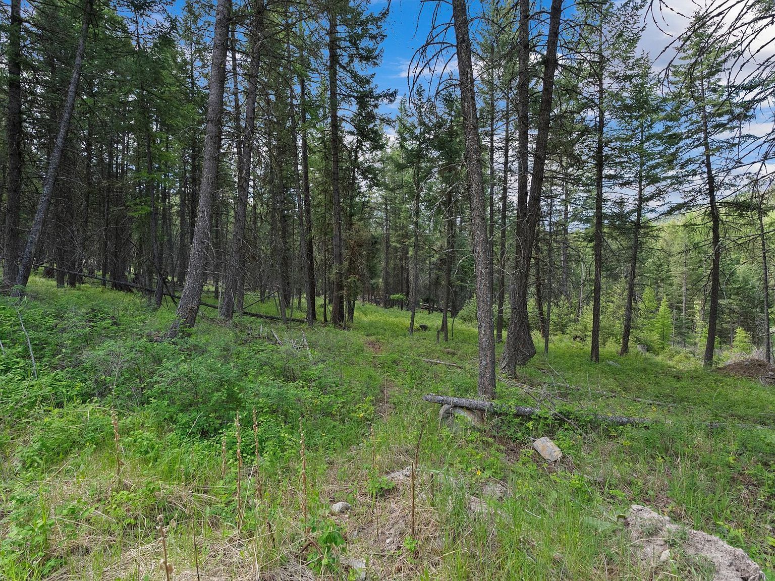 433 Buffalo Trl Somers, MT 59932 - Thumbnail 5