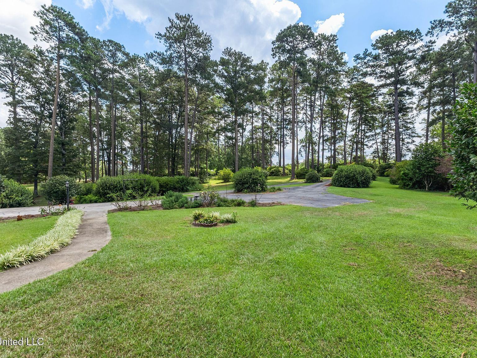 307 Salem School Rd Collins, MS 39428 - Thumbnail 5