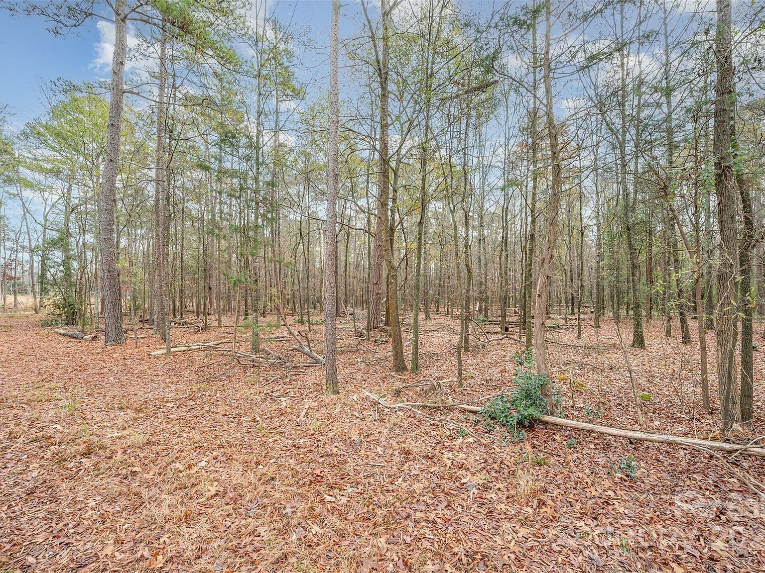 0 Simpson Cir Monroe, NC 28112 - Thumbnail 5