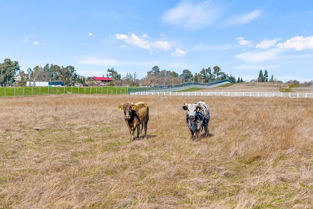 Kiwi Rd Wilton, CA 95693 - Thumbnail 5