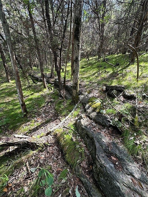 20 Lakeview Ln #25 Eureka Springs, AR 72631 - Thumbnail 5