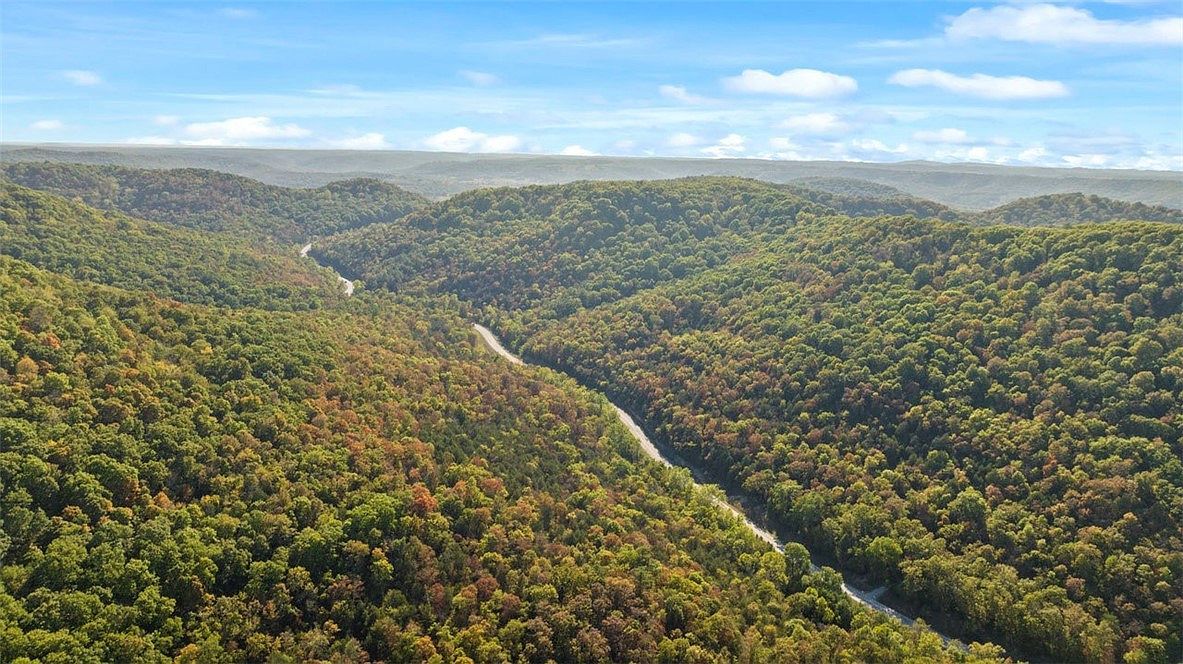 Highway 221s Berryville, AR 72616 - Thumbnail 5