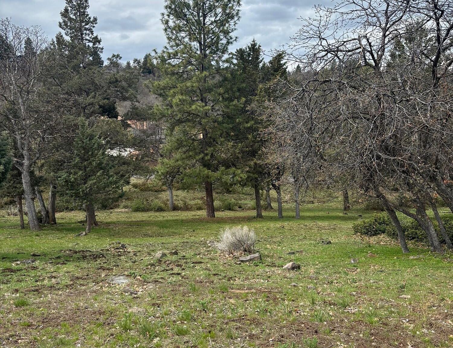 Willet Way LOT 933 Klamath Falls, OR 97601 - Thumbnail 5
