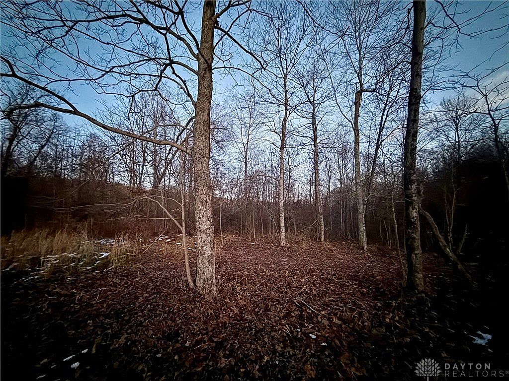 0 Cox Rd Waverly, OH 45690 - Thumbnail 5