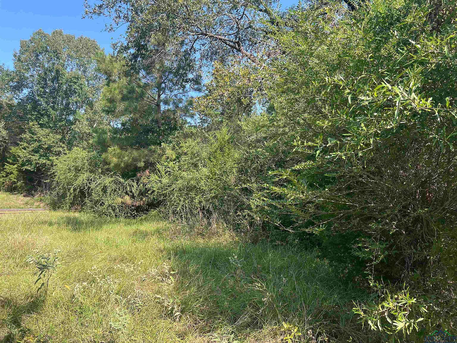 4127 Fm 139 Joaquin, TX 75954 - Thumbnail 5