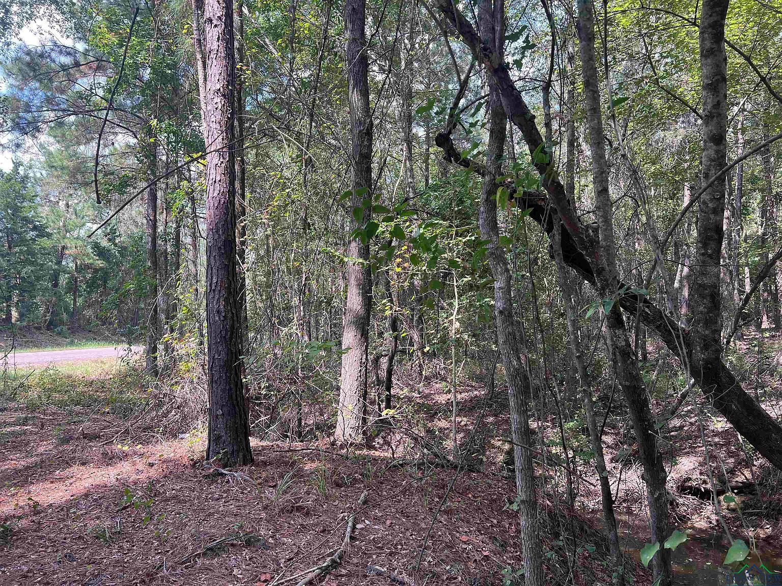 County Road 476 S Henderson, TX 75654 - Thumbnail 5