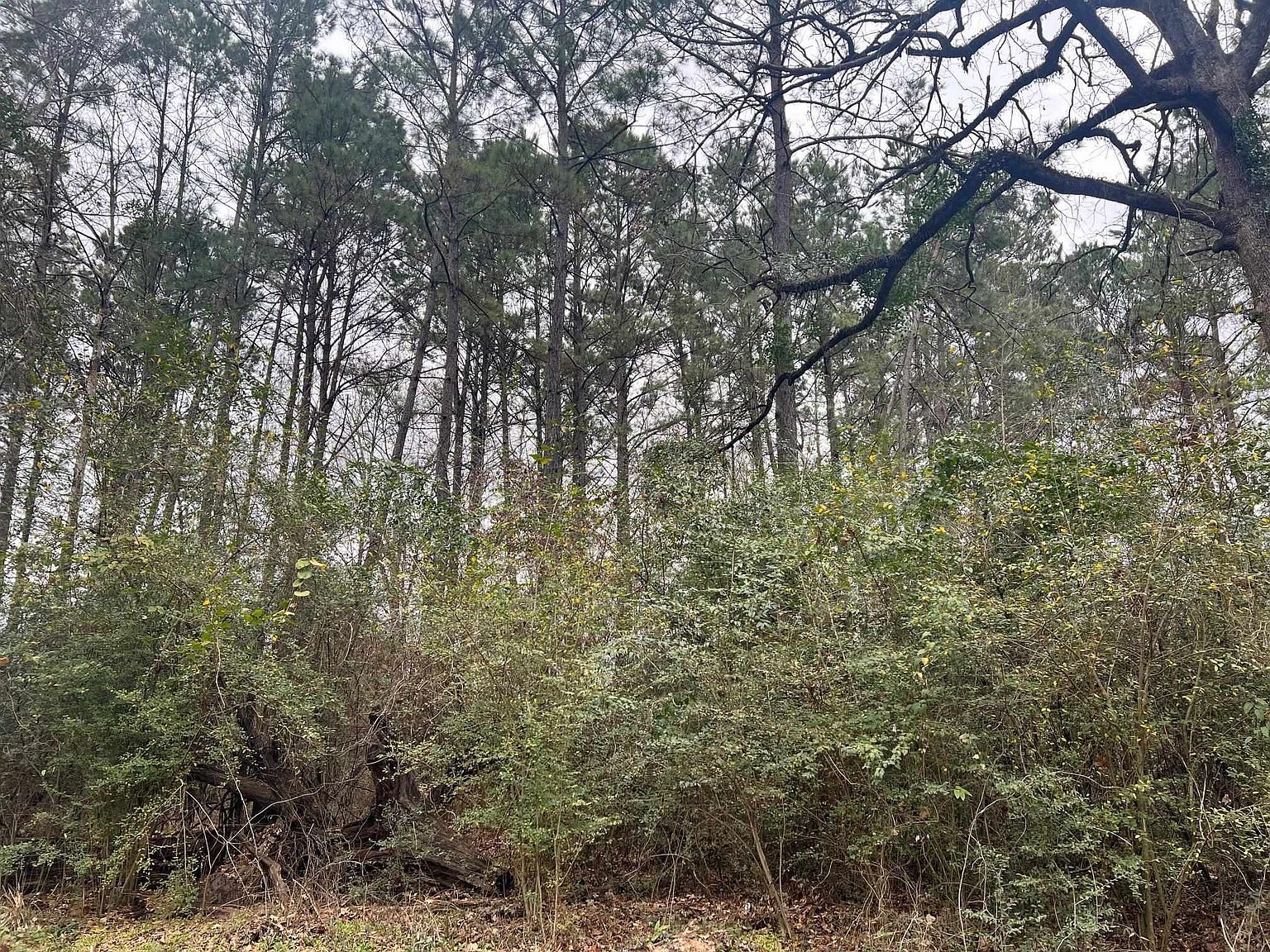 606 County Road 3140 Center, TX 75935 - Thumbnail 5