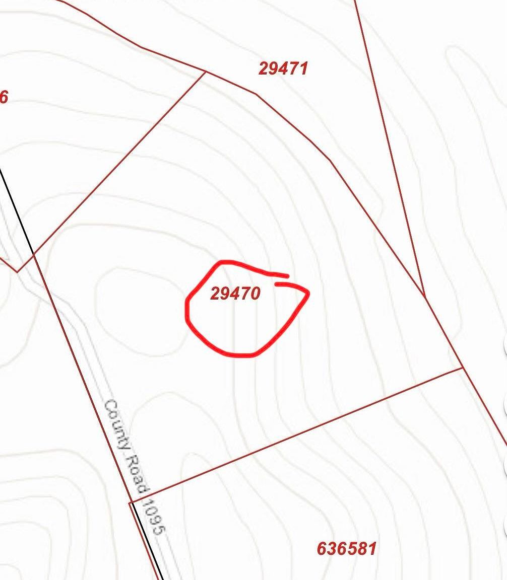 3341 County Road 1095 Center, TX 75935  | Land/Lot
