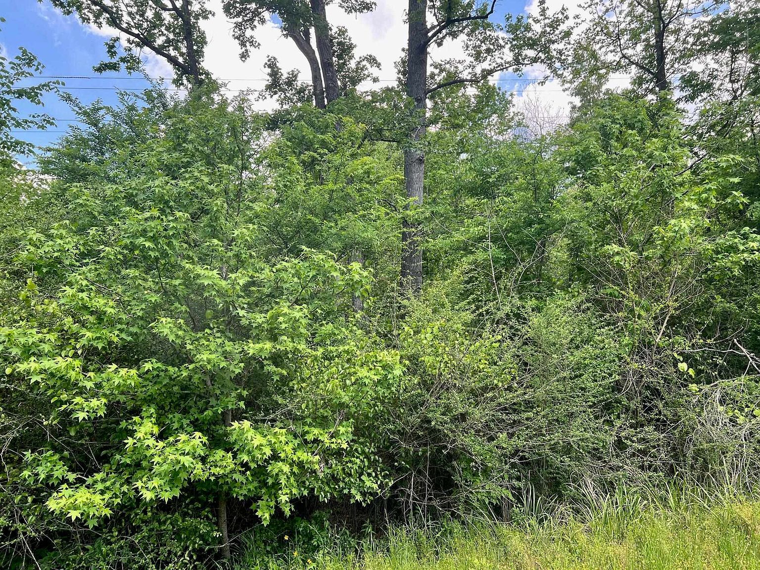 N Highway 87 N Center, TX 75935 - Thumbnail 5
