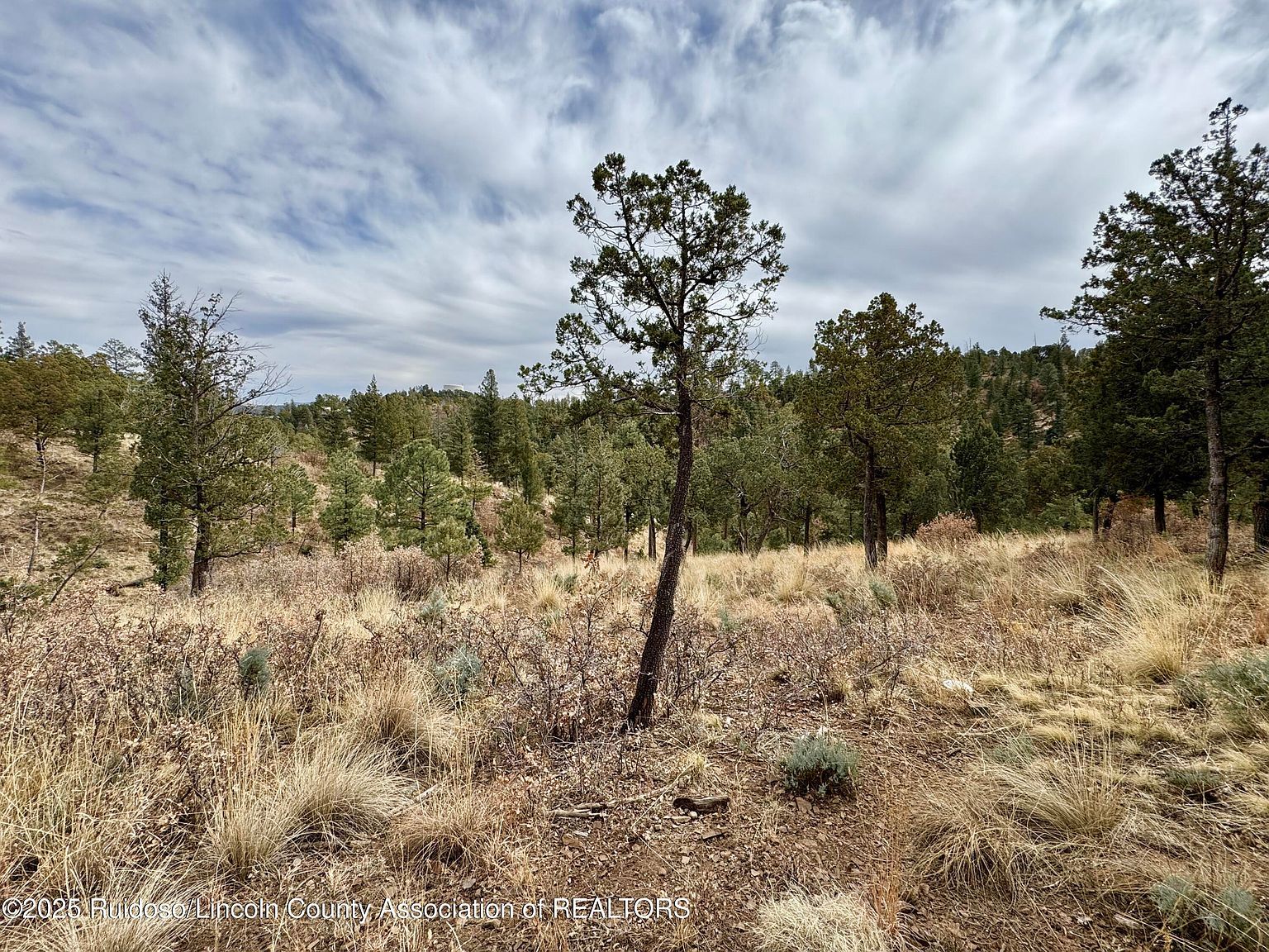 107 Abbey Pl Ruidoso, NM 88345 - Thumbnail 5
