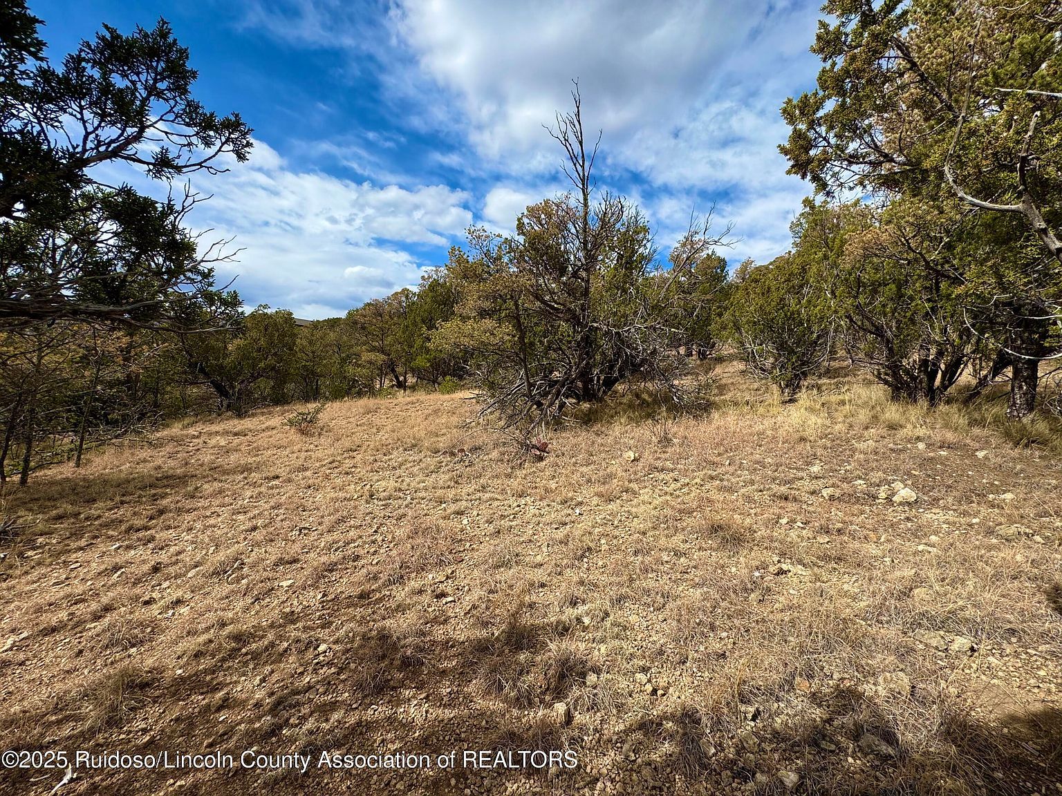 1146 Shoshone Trl Alto, NM 88312 - Thumbnail 5